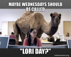 Hump Day Camel