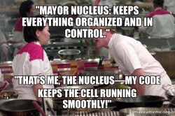 Gordon Ramsay