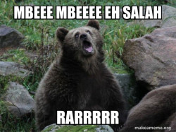 Sarcastic Bear