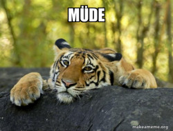 Confession Tiger