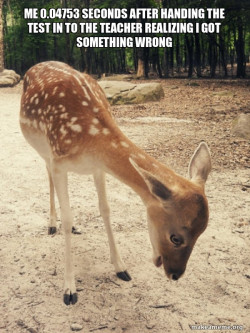 O M G Deer