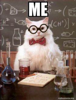 Chemistry Cat