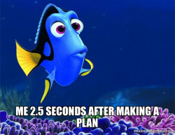 Dory from Nemo (2.5 second memory)