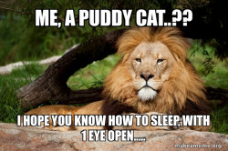 Contemplative Lion