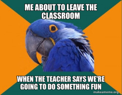 Paranoid Parrot