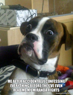 Skeptical Dog