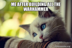 First World Cat Problems