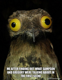 Weird Stuff I do Potoo