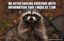 Evil Plotting Raccoon
