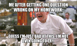 Gordon Ramsay Hell's Kitchen