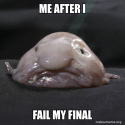 Blobfish