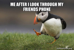 Unpopular Opinion Puffin