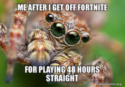 Hipster Spider