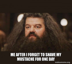 Hagrid - I should not have said that