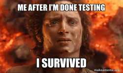 Frodo it's over it's done