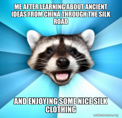 Lame Pun Coon