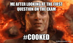 Frodo it's over it's done