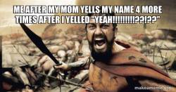 The 300