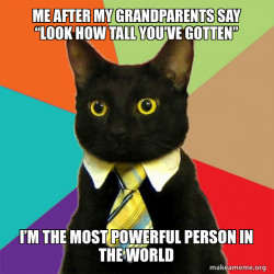 Business Cat