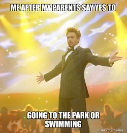 Tony Stark Success