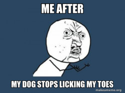 Y U No