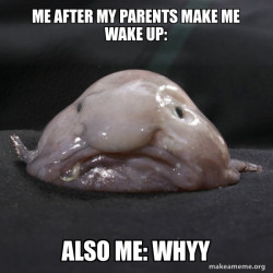 Blobfish