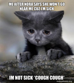 Confession Cat