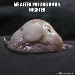 Blobfish