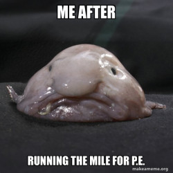 Blobfish