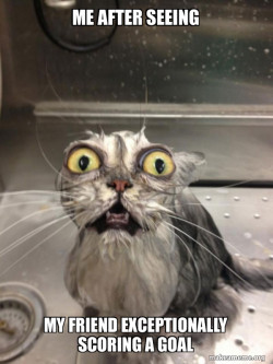 Cat bath