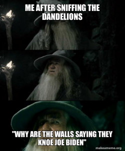 Confused Gandalf
