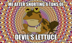 Hypnotoad