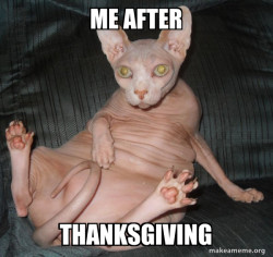 Hairless Cat
