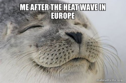 Satisfied Seal