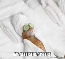 Pampered Cat Meme