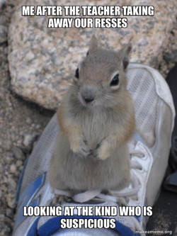 Standover Squirrel