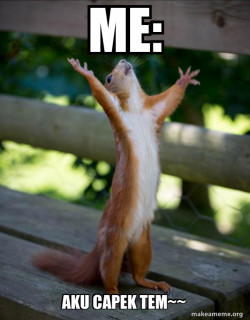 Happy Squirrel