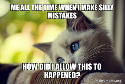 First World Cat Problems