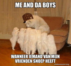 Scumbag Storytelling Dog
