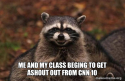 Evil Plotting Raccoon
