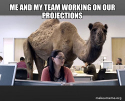 Hump Day Camel