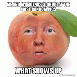 Impeached Donald Trump