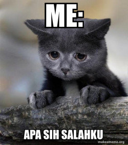 Confession Cat