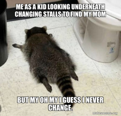 Drunk Raccoon