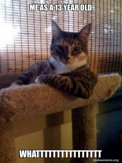 The Most Interesting Cat in the World