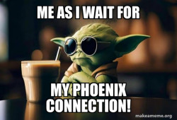 Cool Yoda (Sunglasses)