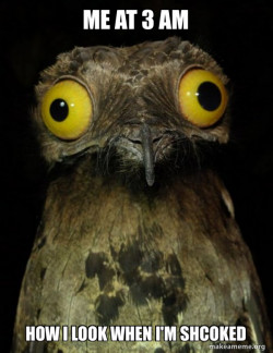 Weird cute owl mixed with I don't know