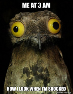 Weird Stuff I do Potoo