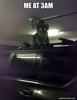 Drop Bear