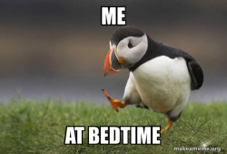 Unpopular Opinion Puffin